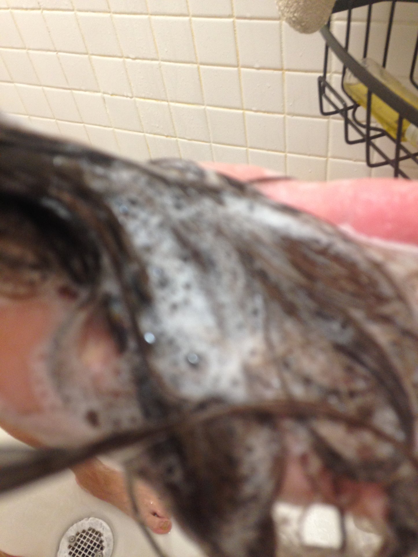 Olive Oil Shampoo Bar Unscented