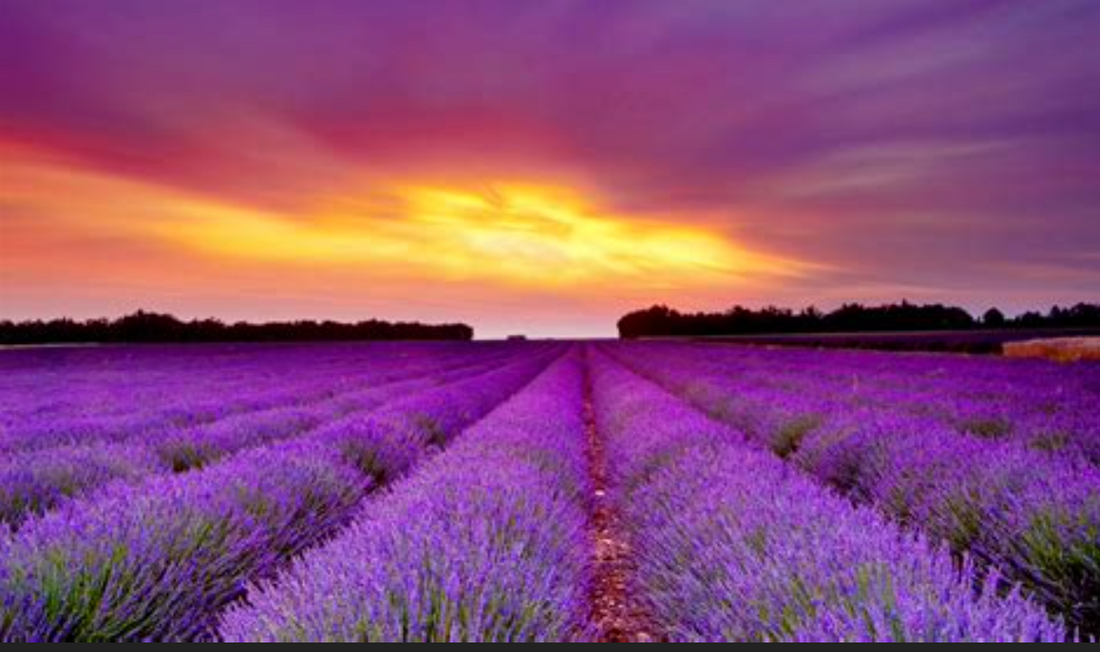 Burn Story and 1st Aid Tips