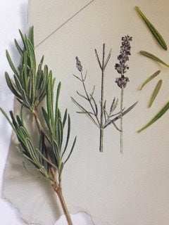 Essential Oils and Their Benefits