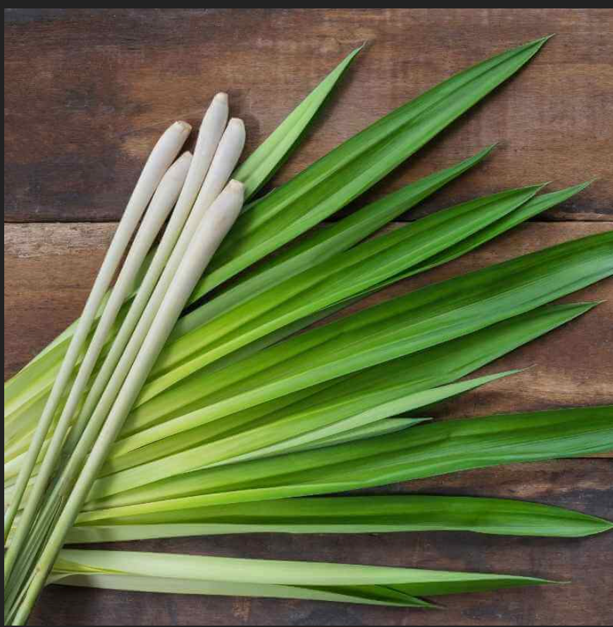 Lemongrass Bar Soap