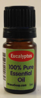 Essential Oils: Eucalyptus